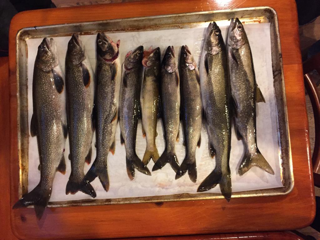 Little Hawk Resort & Marina Algonquin Highlands Bagian luar foto